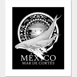 Humpback whales Mexico Sea of Cortez Posters and Art